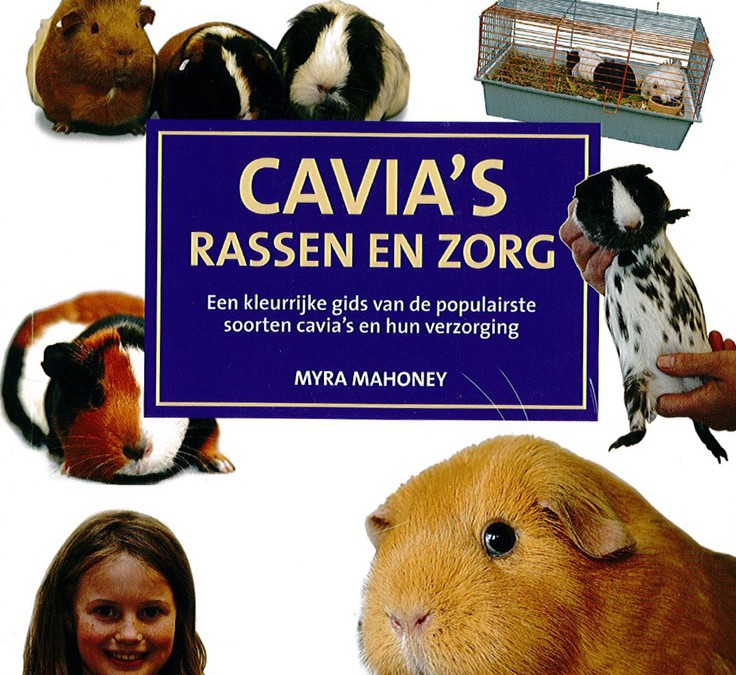 Cavia’s