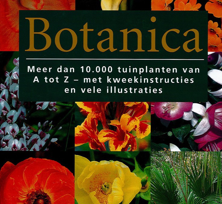 Botanica